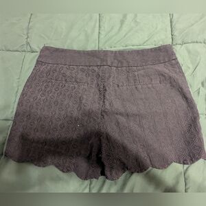 LOFT Scalloped Hem Textured Shorts in Black